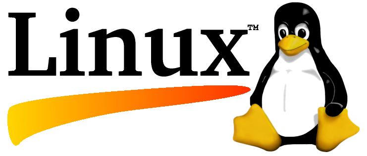 Why Business Owners should Choose Linux Dedicated Servers