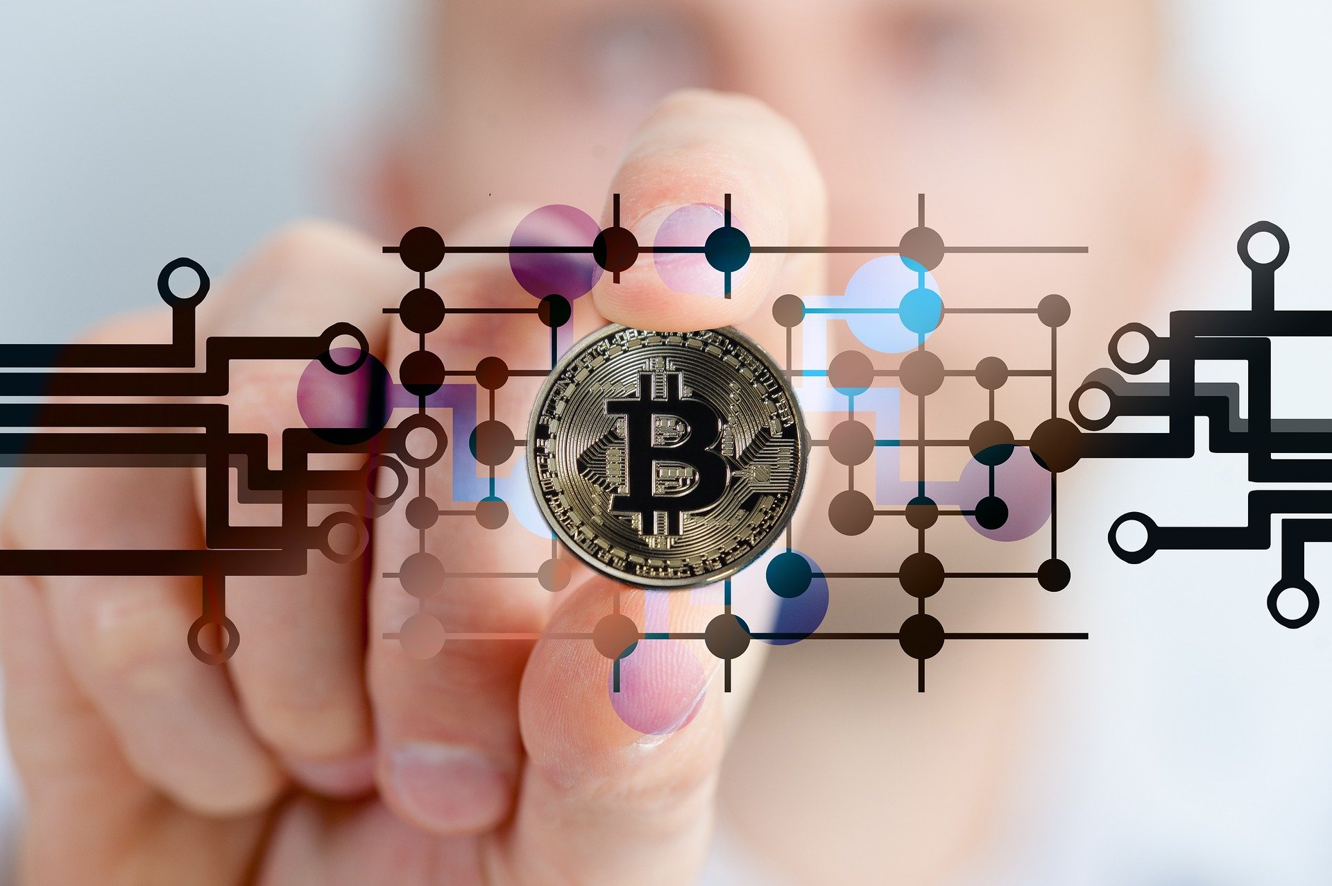 bitcoin vs altcoin-infinitytreasureweb