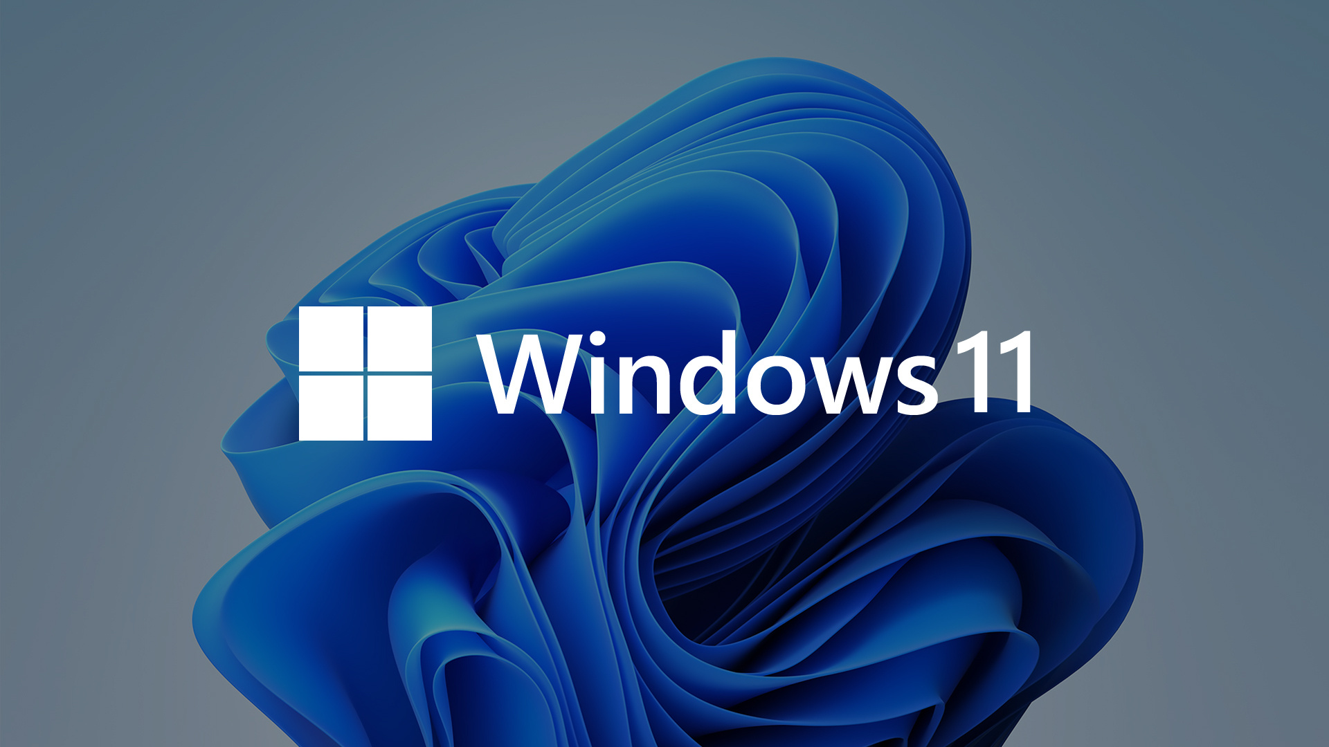 windows11- infinitytreasureweb