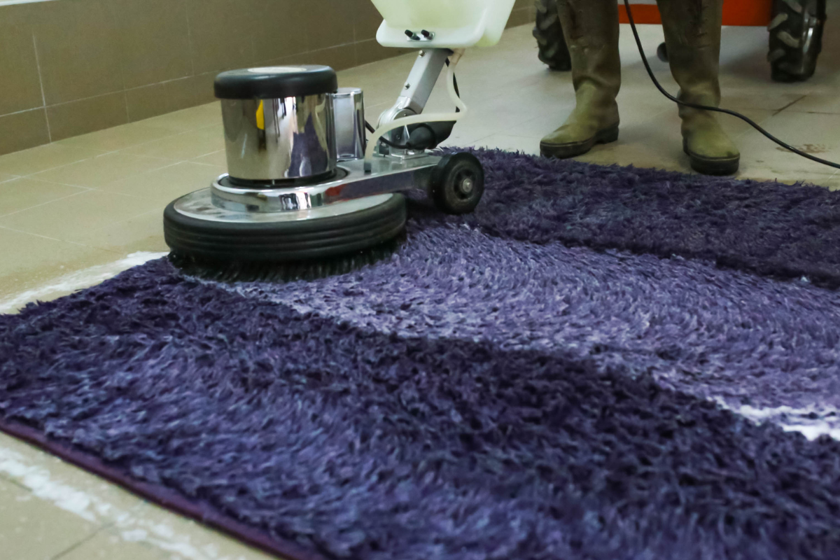 solusi jasa cuci karpet